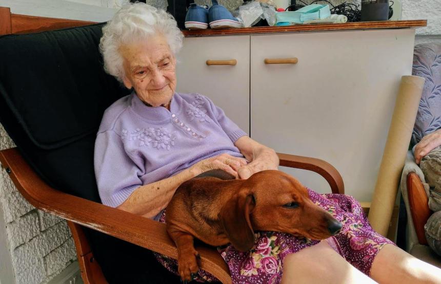 Therapy dogs for dementia deals patients